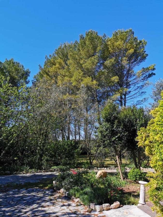 La Maison Du Soleil Provence Draguignan Exteriör bild